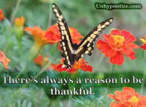 There is always a reason to be thankful. No matter the hand that life has dealt us, there are many things to be thankful for. This butterfly had a large chunk of its wing ripped off, probably by a bird, yet it continued to fly beautifully as if nothing was wrong with it.