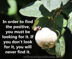 In order to find the positive you must be looking for it. If you don't look for it, you will never find it. You can't expect the positive to show itself on its own; it's up to you to find it.