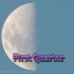 Image of the First Quarter Moon phase.