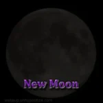 Image of the New Moon phase.