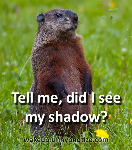 Groundhog standing as if asking "did I see my shadow?"